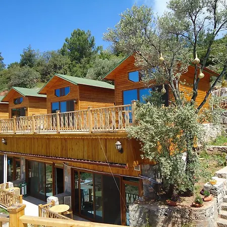 Hotel Kabak Armes