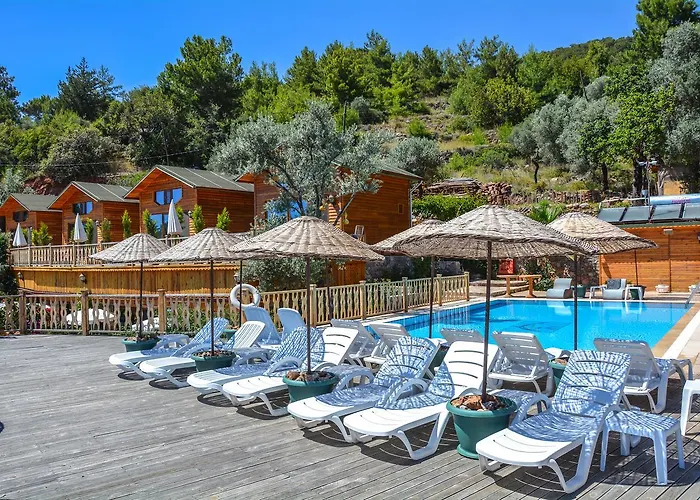 Kabak Armes 3* فاراليا