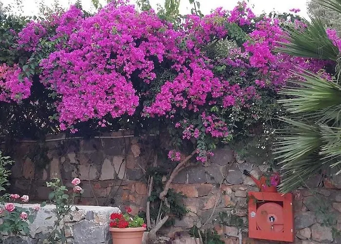 Hotel Kabak Armes Faralya